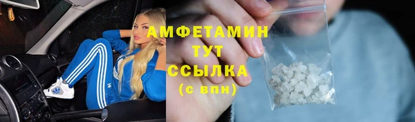 индика Белокуриха