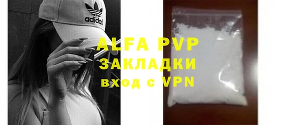 индика Белокуриха