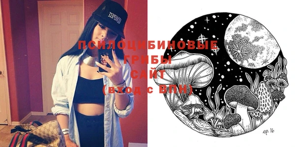 спайс Баксан