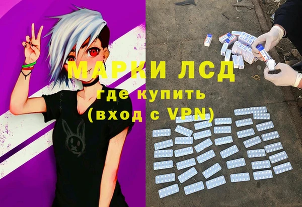 индика Белоозёрский