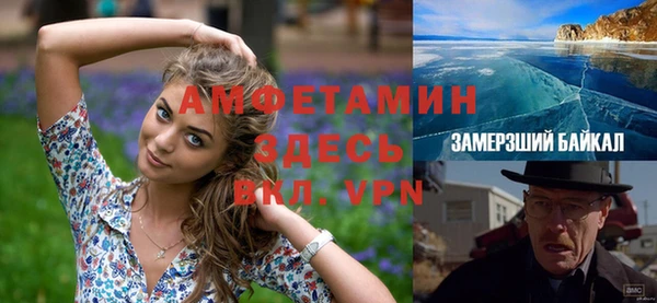индика Белокуриха