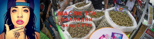 индика Белокуриха