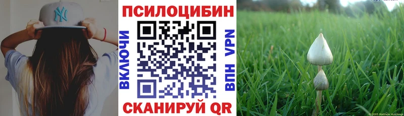 Псилоцибиновые грибы прущие грибы  Купить  Кизел 